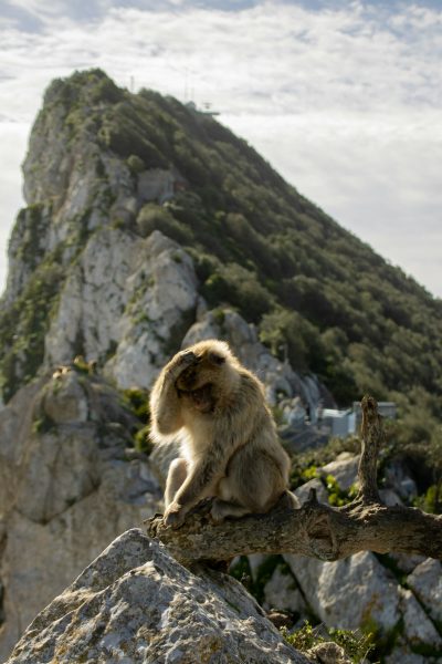 De Rots van Gibraltar
